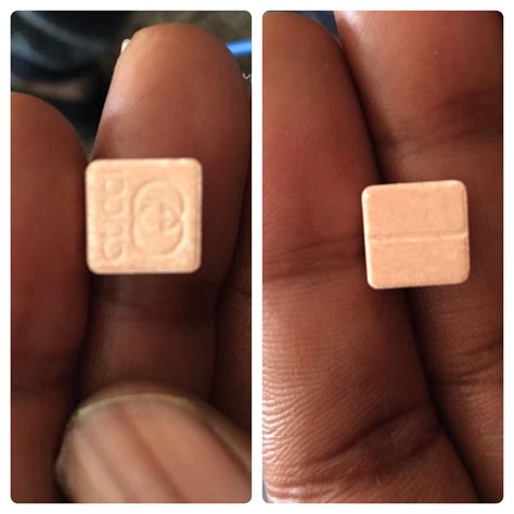 gucci mdma